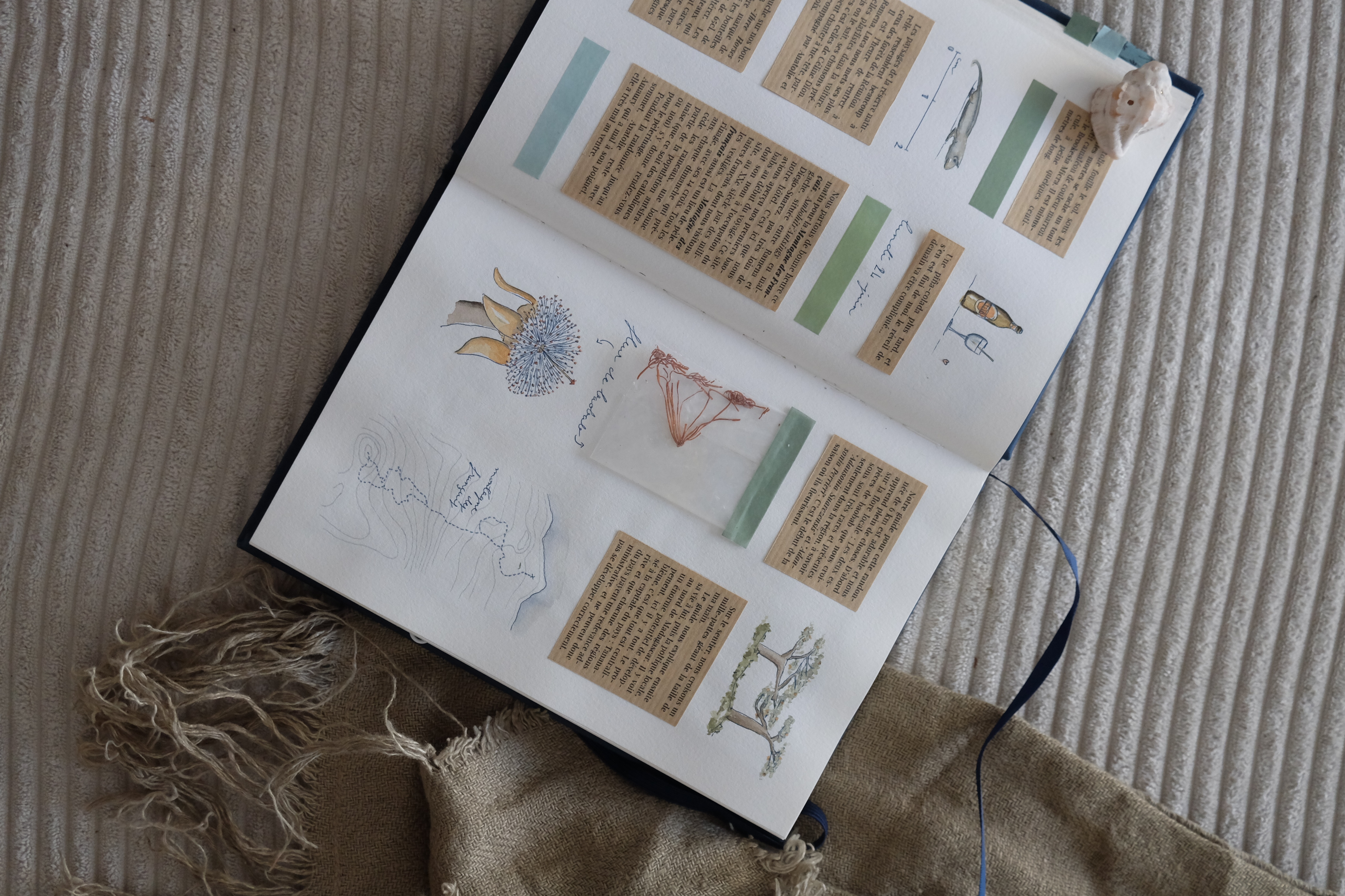 Carnet de voyage, nord de Madagascar - Montagne d'Ambre, Montagne des Français
Illustrations à l'aquarelle