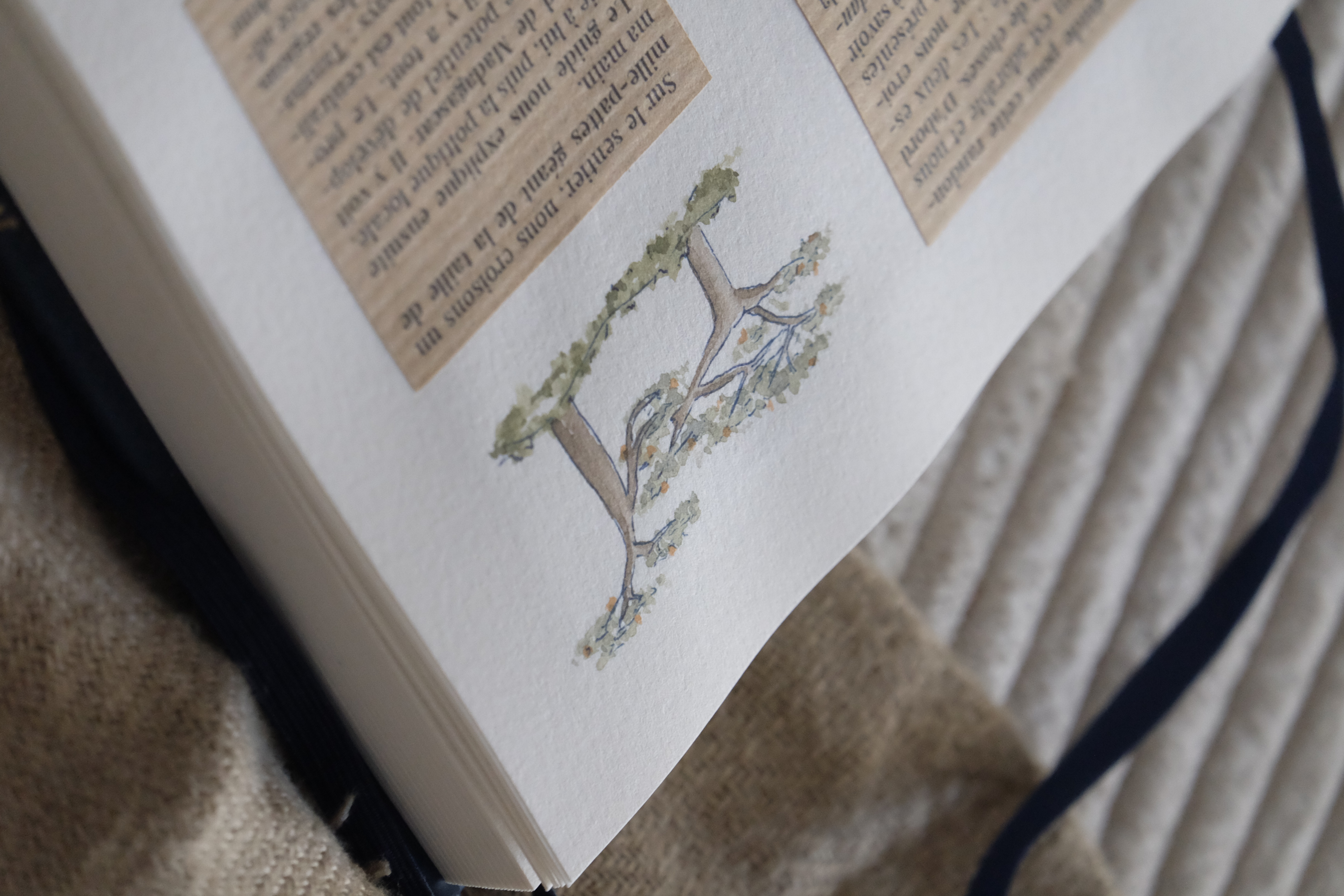 Carnet de voyage, nord de Madagascar - Les baobabs de la Montagne des Français
Illustrations à l'aquarelle