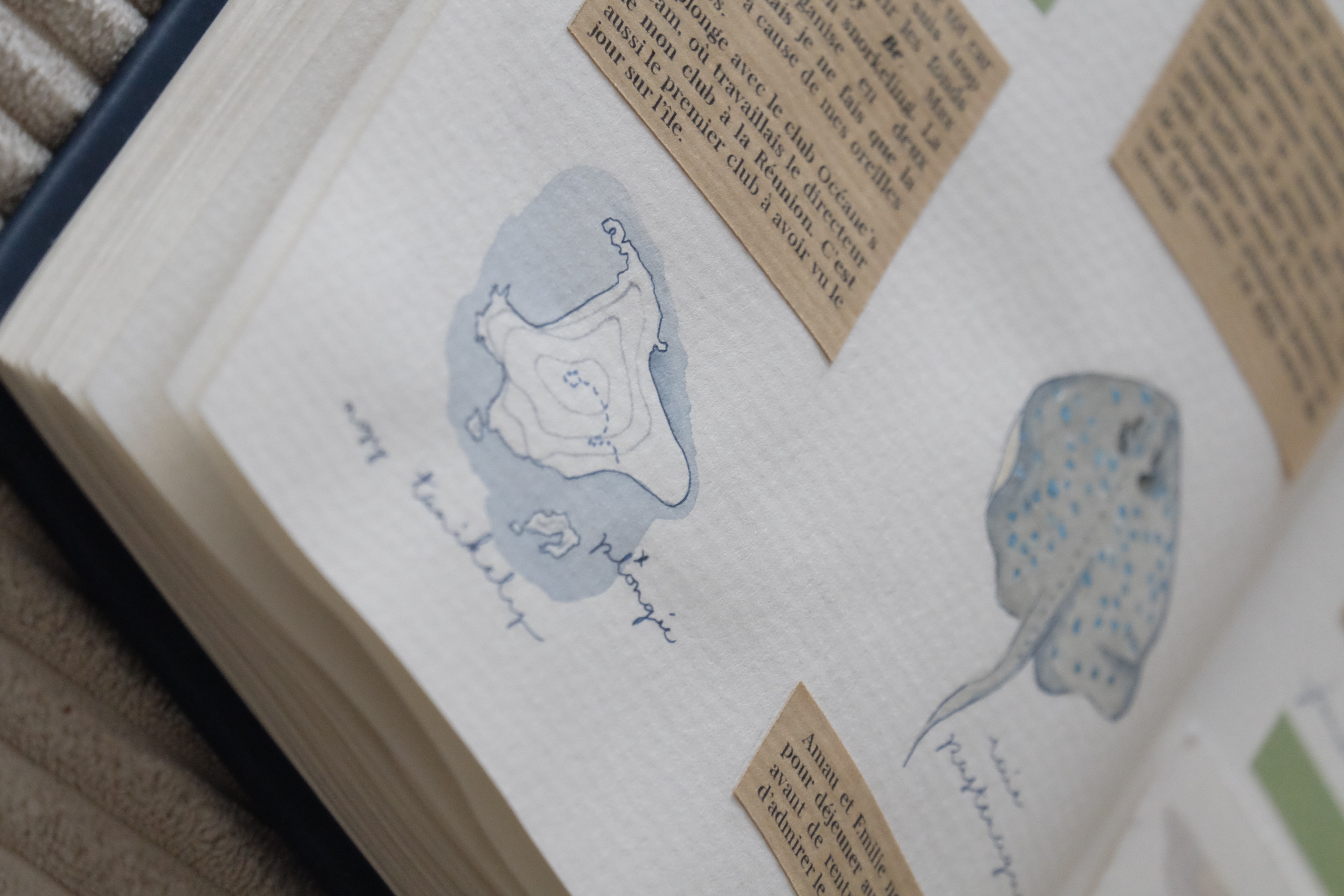 Carnet de voyage, nord de Madagascar - Plongée à Nosy Be
Illustrations à l'aquarelle